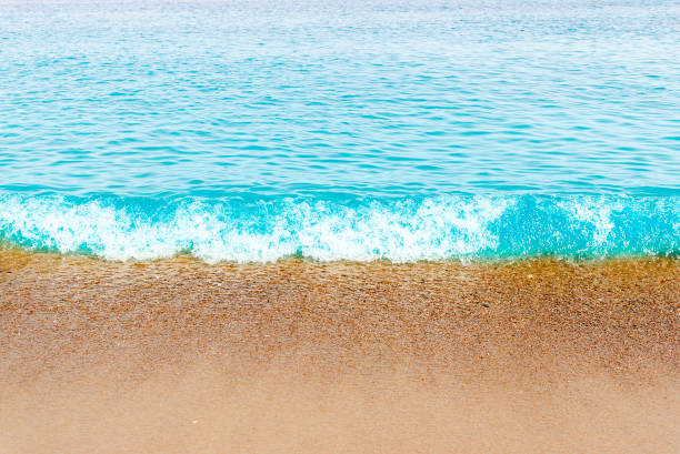 blue sea wave,golden sand beach,white foam,turquoise ocean water.close-up.summer holidays concept.tropical island vacation backdrop,tourist travel banner design template, copy space. - 13589 - fotografias e filmes do acervo