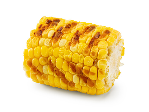 grilled corn isolated on white background. clipping path