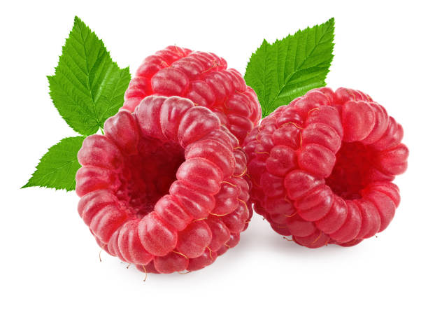 istock ripe raspberries with green leaf isolated on white background macro. clipping path 2077605046