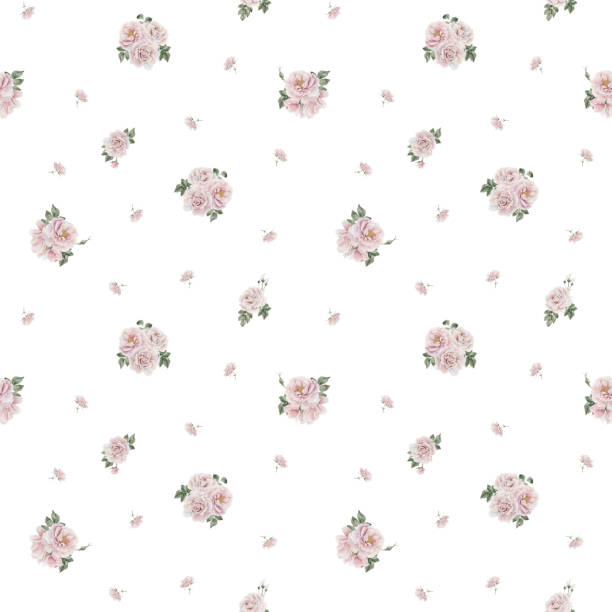 Rose hip pink flowers with buds and green leaves, Victorian style, watercolor seamless pattern on white background. Rose hip pink flowers with buds and green leaves, Victorian style, watercolor seamless minimalist pattern on white background. For use in design, fabric, textile, scrapbooking, wallpaper, wrapping papper, gift boxes, greeting cards, background bud candy stock illustrations