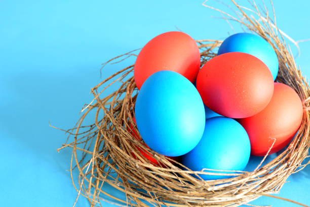 istock red and blue eggs isolated in the bird's nest close up copy space 2077658419