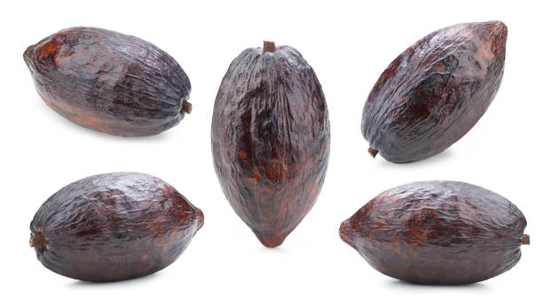 istock Cacao fruits pod isolated on white background 2077677947