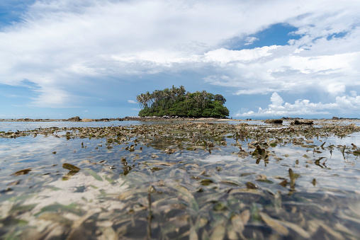 Koh Pling or sea cucumber island, Tiny colorful island and transparent seawater. Koh Pling, Phuket Thailand.