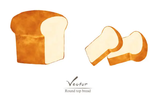 Vector illustration of Vectorized illustration set of round top bread. Include thick and thin sliced bread. Watercolor style.