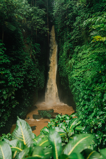 Powerful tropical waterfall after the rain on Bali