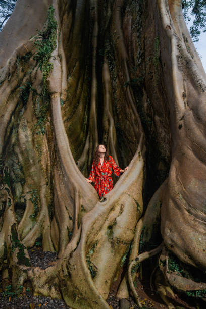 istock Woman in touch with nature enjoying interaction with giant banyan tree on Bali 2077706084