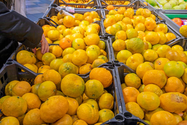 istock tangerines and oranges in containers in a supermarket 2077717706