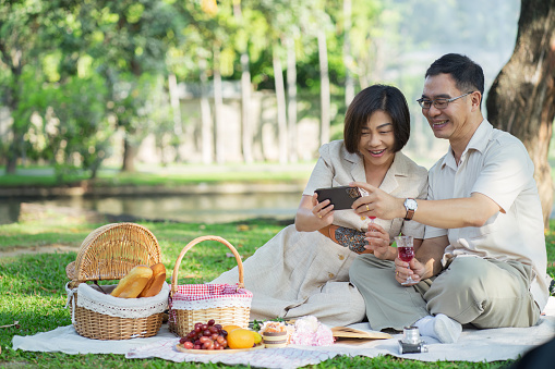 Asian Senior Couple Relaxing with Wine and Smartphone During Picnic in Park