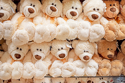 soft toy white and brown teddy bears on the counter in a children's store
