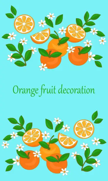 Vector illustration of Orange slices and whole fruit decorative clip art composition