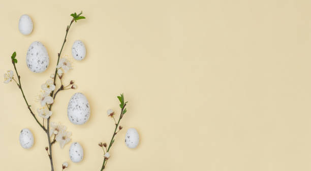 istock Easter eggs with cherry blossoms flat lay on light background. Stylish tender spring template with space for text. Greeting card or banner 2077759906