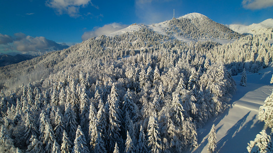 AERIAL: Wonderful view of snow-covered mountains and spruce forest on a sunny day. Breath-taking alpine landscape with white blanket of snow, bathing in winter sunlight. Winter wonderland in mountains