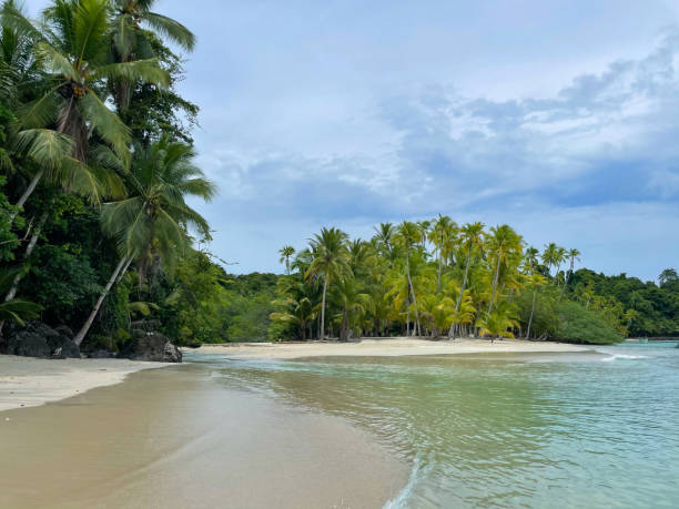 istock Dreamy tropical sandy beach with crystal clear ocean and tall coconut palms 2077790258
