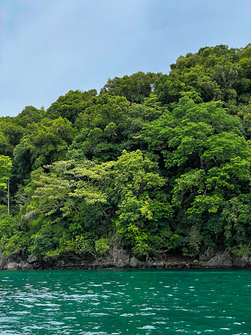 Inaccessible tropical island overgrown with lush green tropical vegetation. Picturesque and pristine piece of land surrounded by ocean water under rainy clouds. Amazing travel destination in Panama.