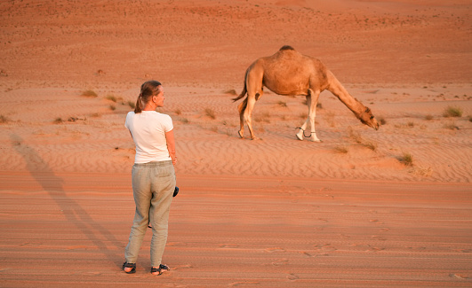 Back view of Senior woman watching the dromedary-camel while the camel is walking and looking for food, grass at side of dirt road in Wahiba desert in Oman. In background is only, sand, desert.