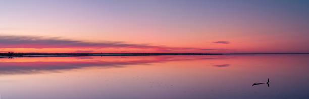 Lake Tyrrell Victoria Australia Dusk Light Panorama