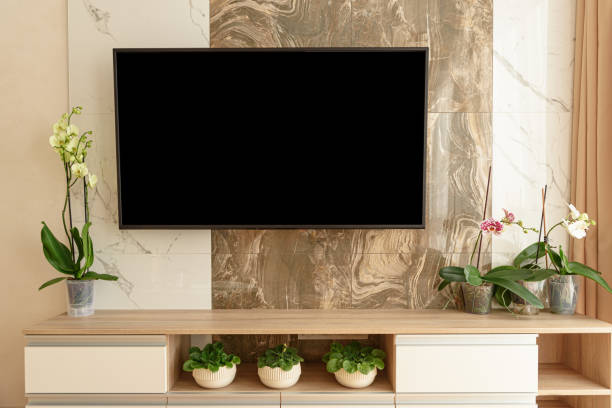 istock Modern living-room with TV and flower pots. Front view 2077823162