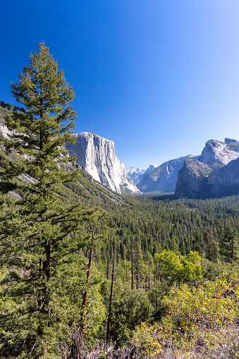 El Capitan mountain in Yosemite National Park, California, US