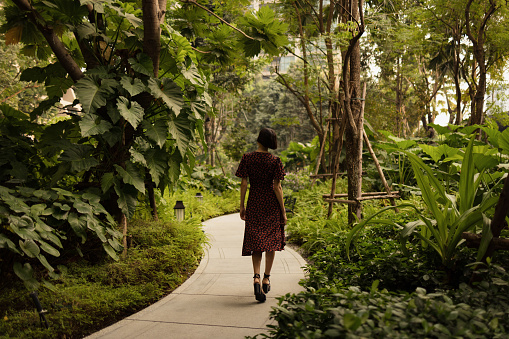 Rear view of a woman in a dress walking among greenery in the park.