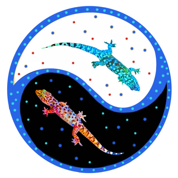 gecko yin and yang