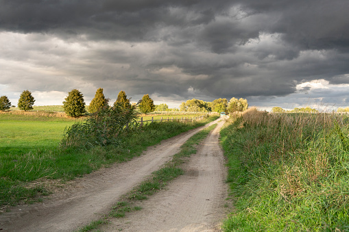 This picture shows a field in the summer of August 2014 in near of Berlin with dramatic sky.