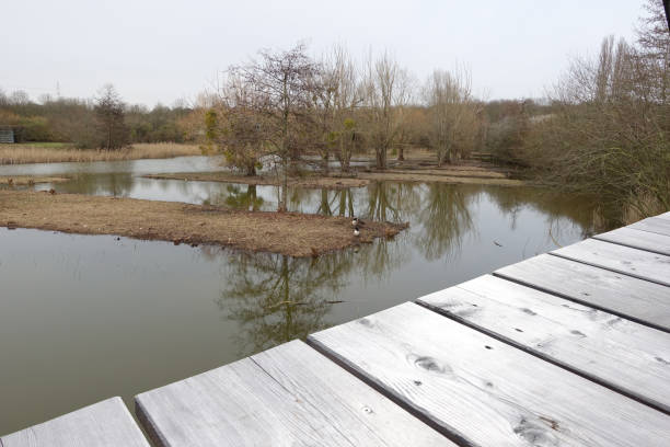 Marshes in the Paris region  High angle view