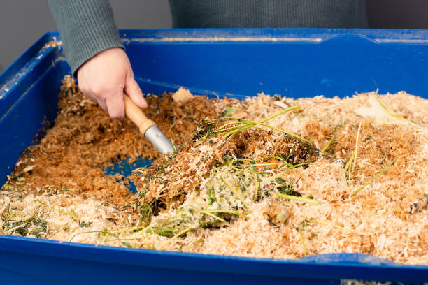 cleaning the rabbit cage, scatter and straw with rabbit shit and leftover vegetables, taking care of a pet, shovel with waste - garbage food compost unpleasant smell 뉴스 사진 이미지