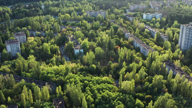 Healing environment of the exclusion zone, destroyed by the Chernobyl disaster.
