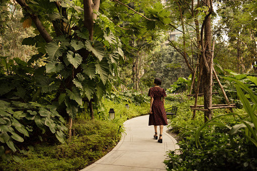 Rear view of carefree woman walking among greenery in the park.
