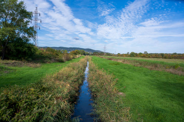Stream surrounded by green grass, bushes and trees. There is hill in background.