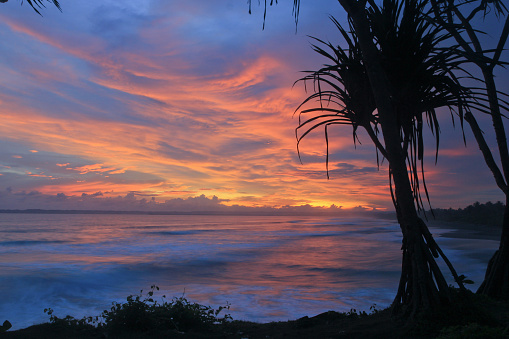 Sunset at Karang Hiu beach, Pangandaran, Indonesia, attractive orange light with a tree foreground.
