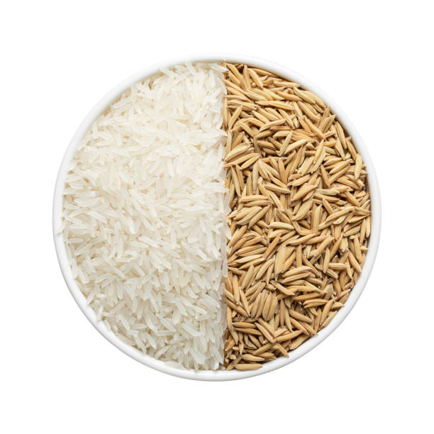 istock Rice and paddy in white bowl. 2077969382