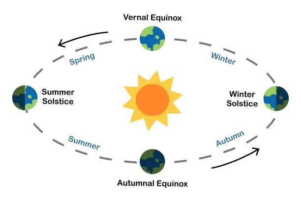 Vector illustration of Earth’s seasons diagram. equinoxes and solstices. The Earth's orbit around the Sun. Astronomy science education. Poster, infographic, banner. Scientific design. Vector and illustration.