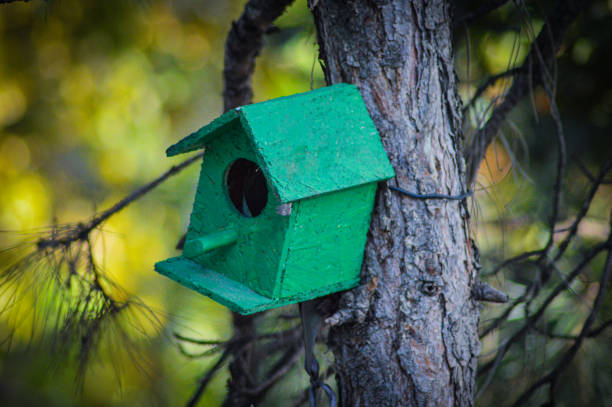 Colorful rustic wooden birdhouses in many designs and patterns hanging outdoors