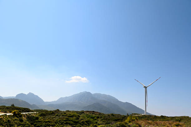 White wind turbines