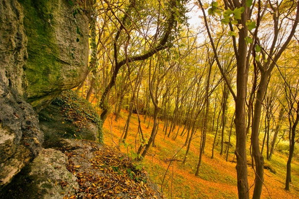 Autumn landscape with picturesque rocks in the forest. Nature of Poland