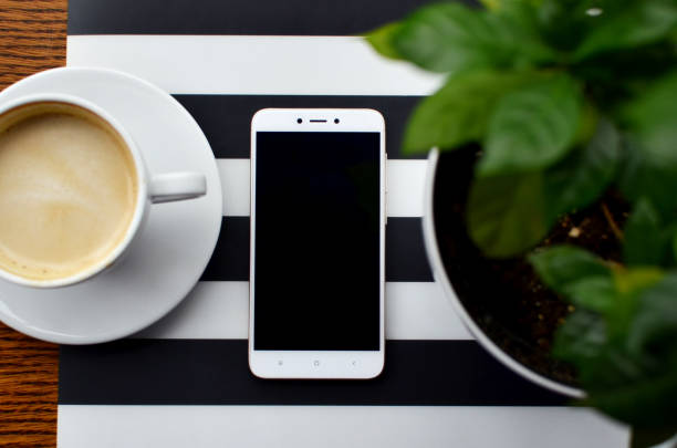 istock Business and technology by using phone in cafe. Mockup. Plant and coffee cup. 2078030036