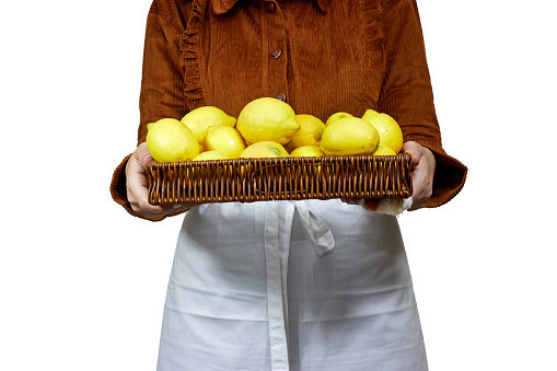 Woman holding halfah basket full of lemons isolated on white, Gardening concept, lemonade advertisement