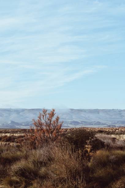 istock Bardenas Reales Natural Park in Navarra 2078045431
