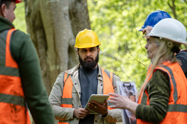 Woodland Maintenance Planning