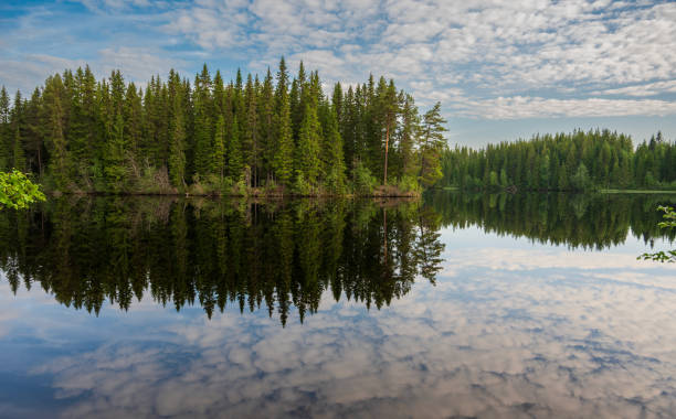 istock Beautiful view of the lake surrounded by coniferous forest 2078055892