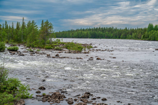 istock Northern river in dense green forest with cloudy sky. 2078062225