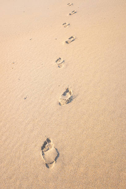 istock human footprints in the sand of a beach 2078079498