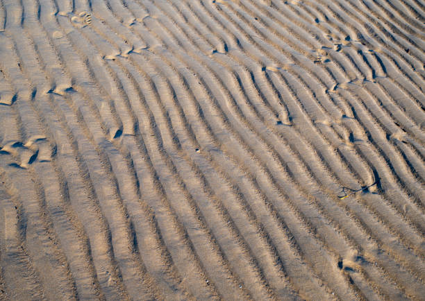 View on the beach and the North Sea at Katwijk aan Zee, South Holland, The Netherlands.