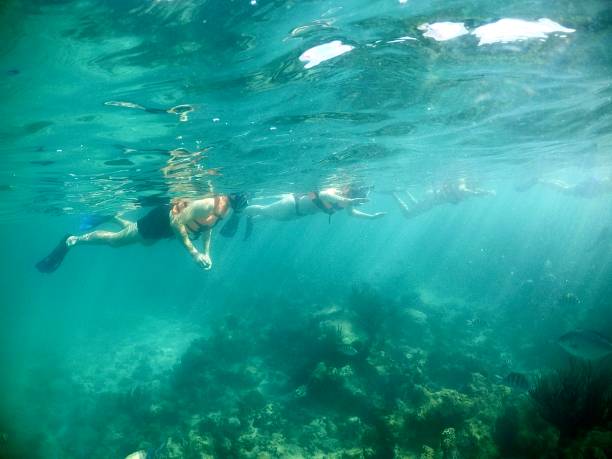 istock Snorkel with the fam 2078102463