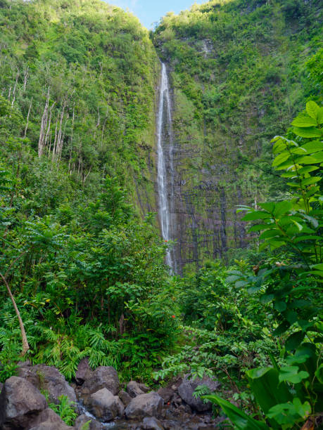 istock View of Waimoku Falls surrounded by lush greenery. Hawaii 2078102720