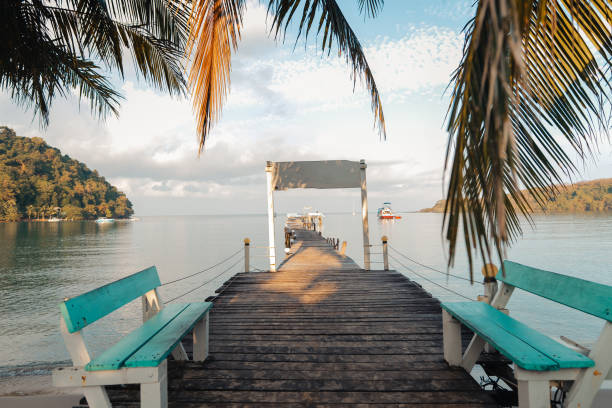 istock Palm-tree beaches and relaxation areas on the island 2078109048