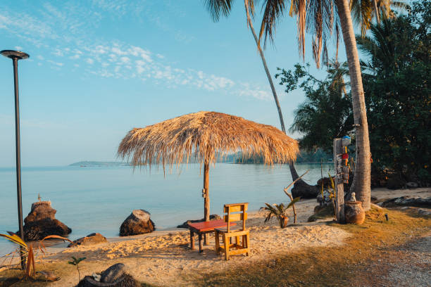 istock Palm-tree beaches and relaxation areas on the island 2078109053