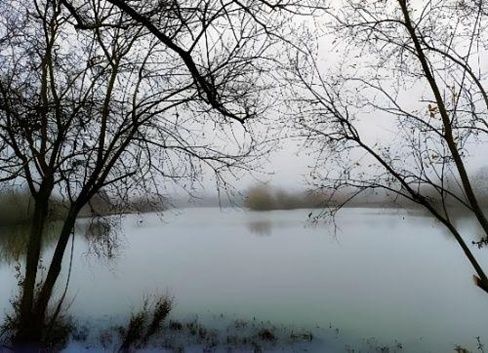 Winter in the lake of Le Langon, France.