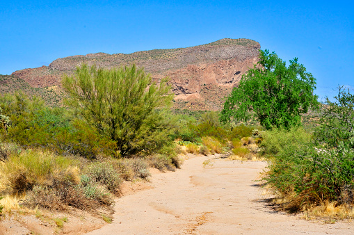 Arizona arroyo dry stream bed that provides a temporary drainage channel for flash floods